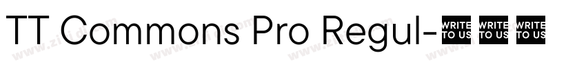 TT Commons Pro Regul字体转换 TT Commons Pro Regul字体转换
